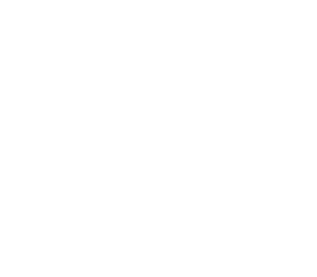 Altiora mark